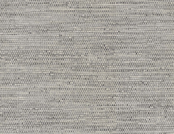 fog_tok