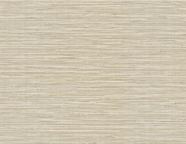 Arrowroot