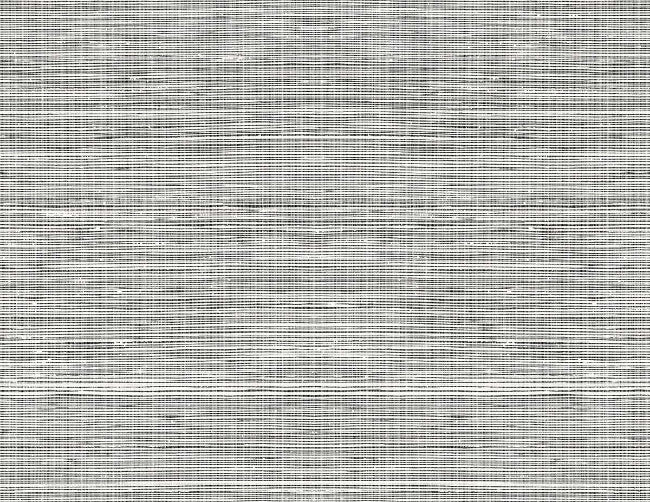dark-point_willow