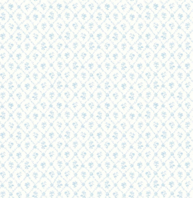 daydream_cossette-pelican-prints