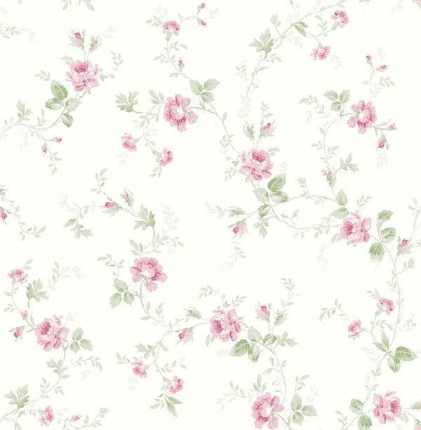 Fashion Rose
