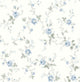 Sapphire Ice