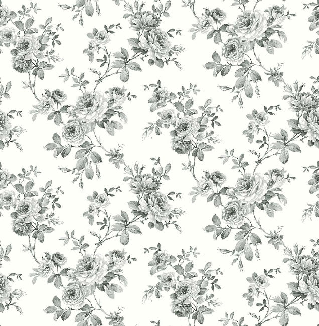 licorice_bernadette-pelican-prints
