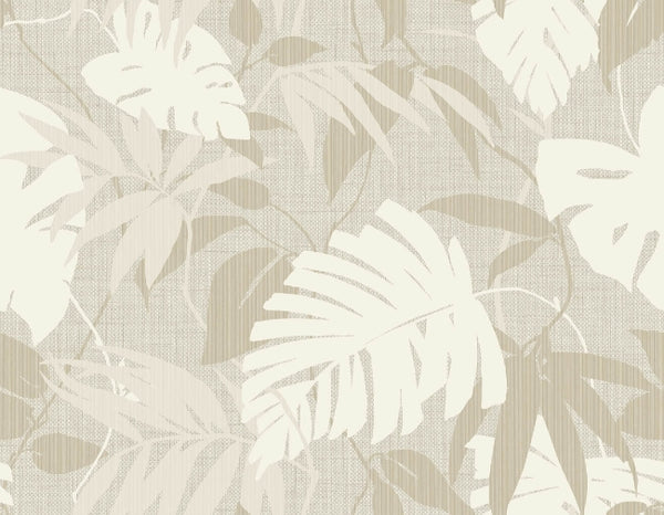 almond-wisp_pontoloc