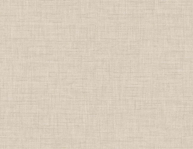 sand-dollar_bolivar