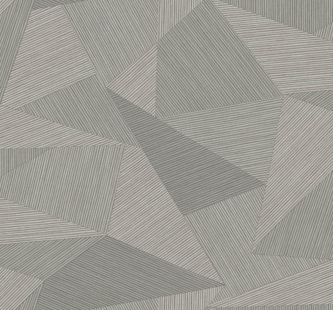 mushroom-gray_sharkey
