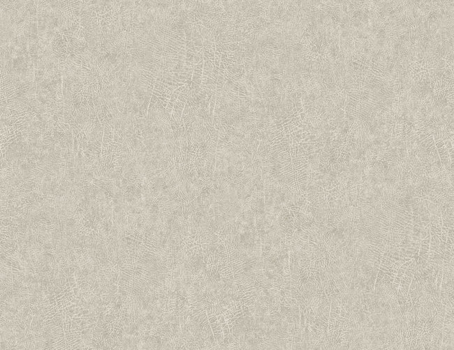 light-beige_copiah