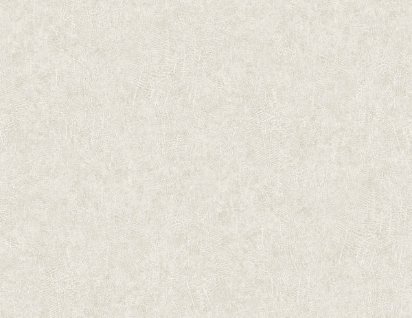 Soft Linen
