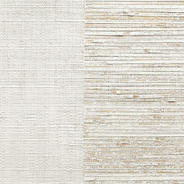 Plaster