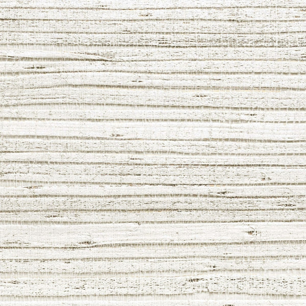 Sea Shell