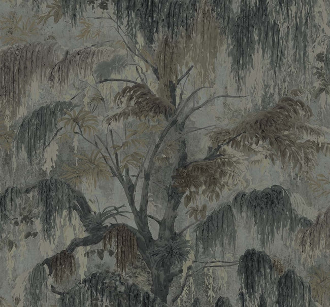 rain_spanish-moss