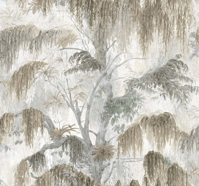 fog_spanish-moss