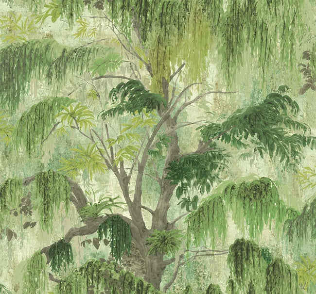 fern_spanish-moss