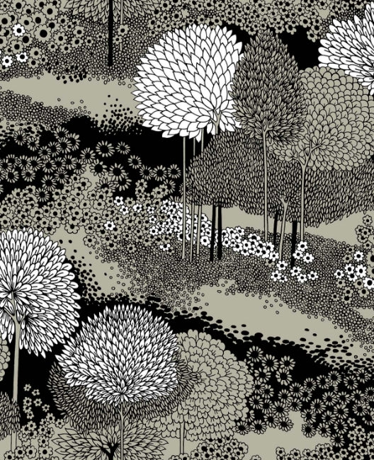 warm-night_vistas