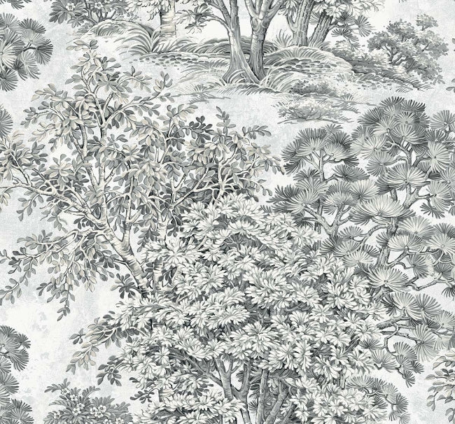 Majestic Trees in Pencil
