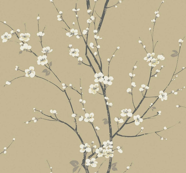 hazel_cherry-branches