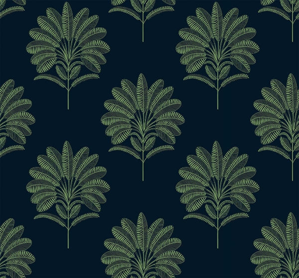 Forest Night