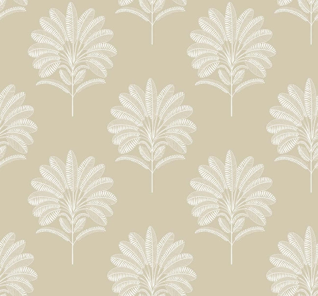 almond_mirage-palm
