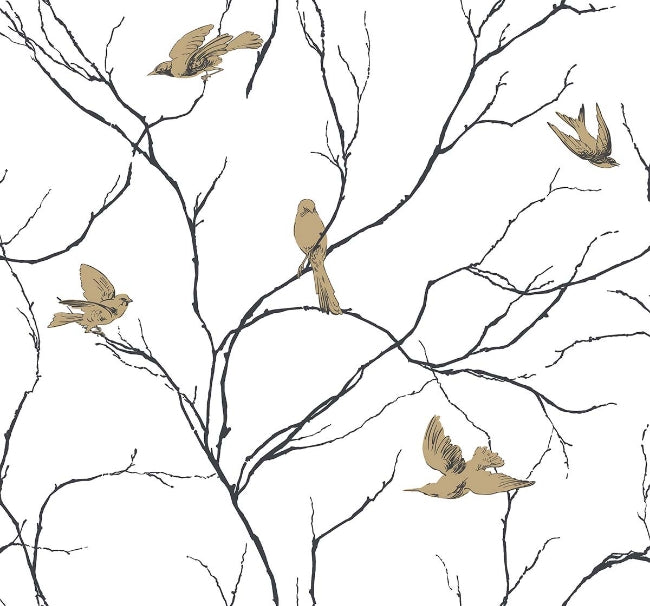 Dreamy Birds in Contrasto