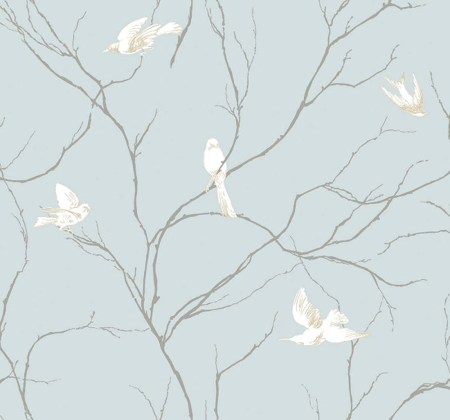 sky_dreamy-birds