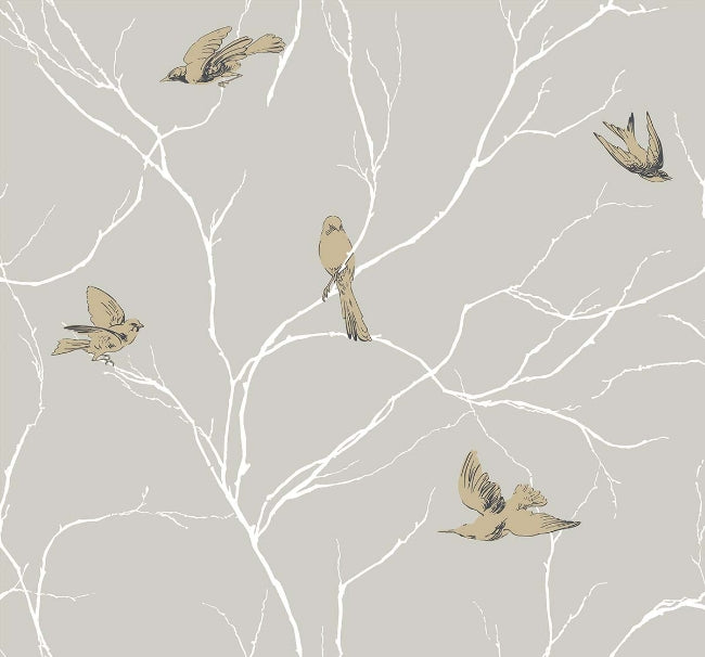 sand_dreamy-birds