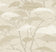 Almond