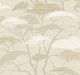 Almond