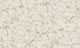 Gold Inlay
