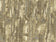 Raw Umber