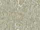 Mountain Mica