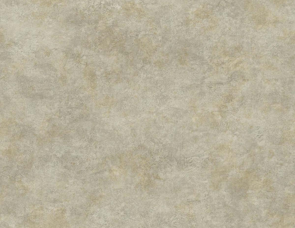 Desert Shine