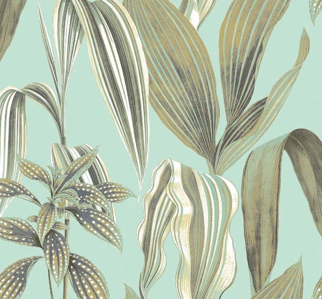 aquas-and-teals_botana-de-primavera