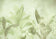 Greens