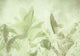 Greens