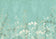 Aquas & Teals