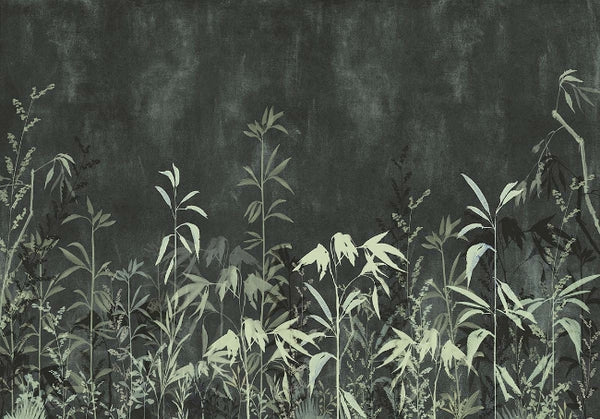 blacks_nero-perenne