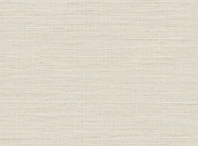sea-shell_solstice-plain