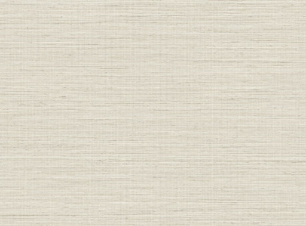 Sea Shell