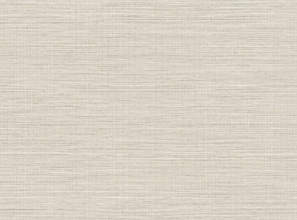 Plaster