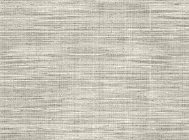 mushroom_solstice-plain