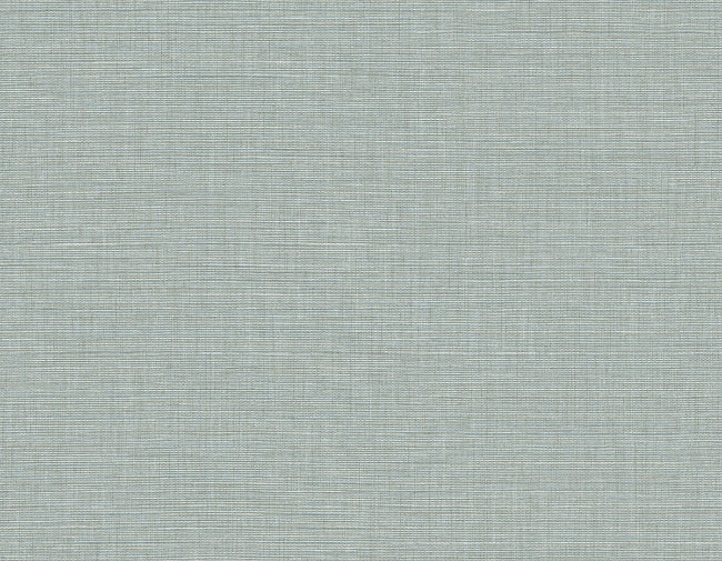 blue-steel_ascend-plain