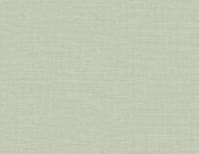 Ascend Plain in Mint