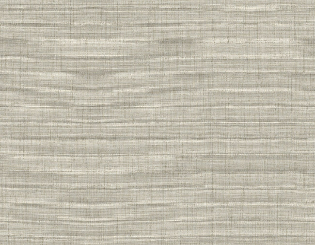 fog_ascend-plain