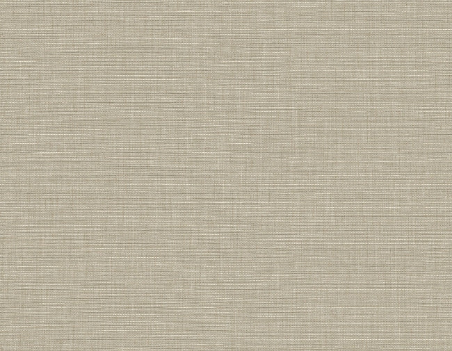 brown-sugar_ascend-plain