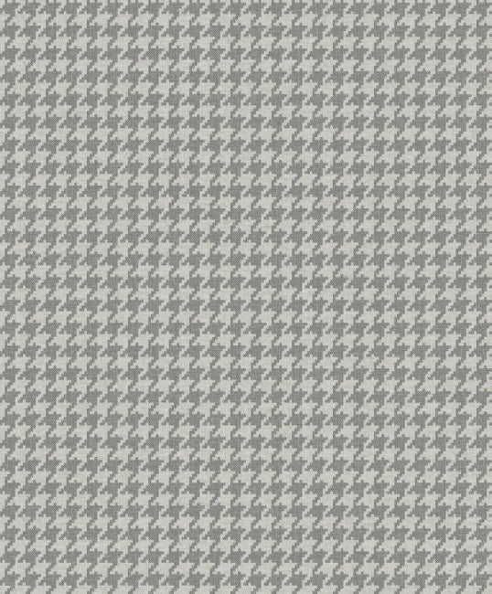 gray-fox_barbara