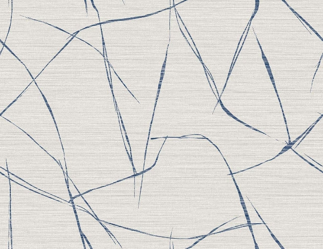 seagull_davenport-sketch