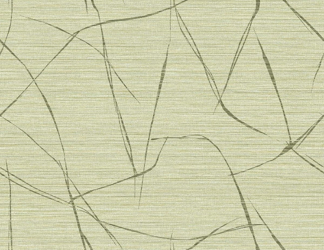 honeycomb_davenport-sketch