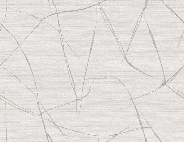 Shoreline
