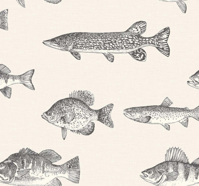 mist_trout