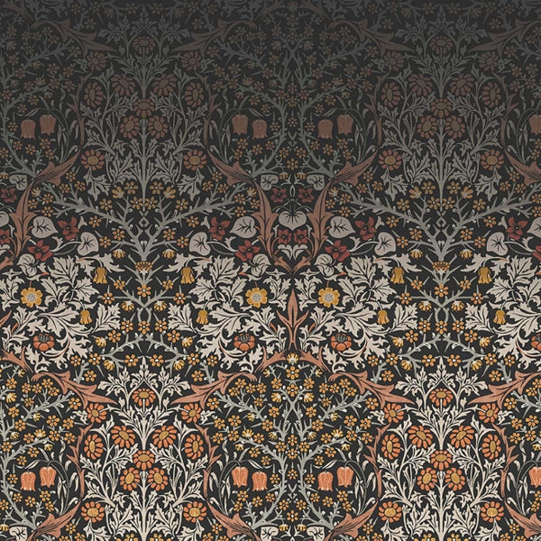 Color 02